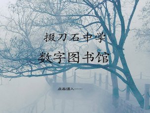 电子图书