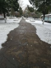 情满掇中：扫雪除冰为学生筑康庄大道