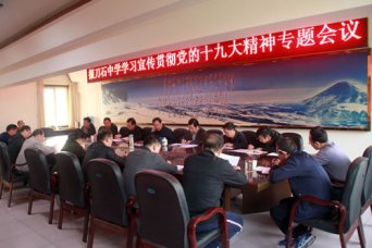 学十九大精神 办人民满意教育