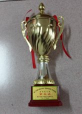 市六运会，我校足球队游泳队捷报连连