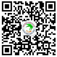 荆门日报专题报道掇刀石中学优质办学