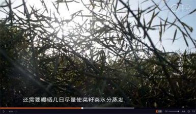 电教中心出品《舌尖上的荆门》获奖